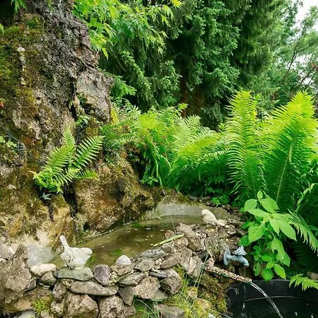 Apartmán In Mit Gepflegtem Garten *